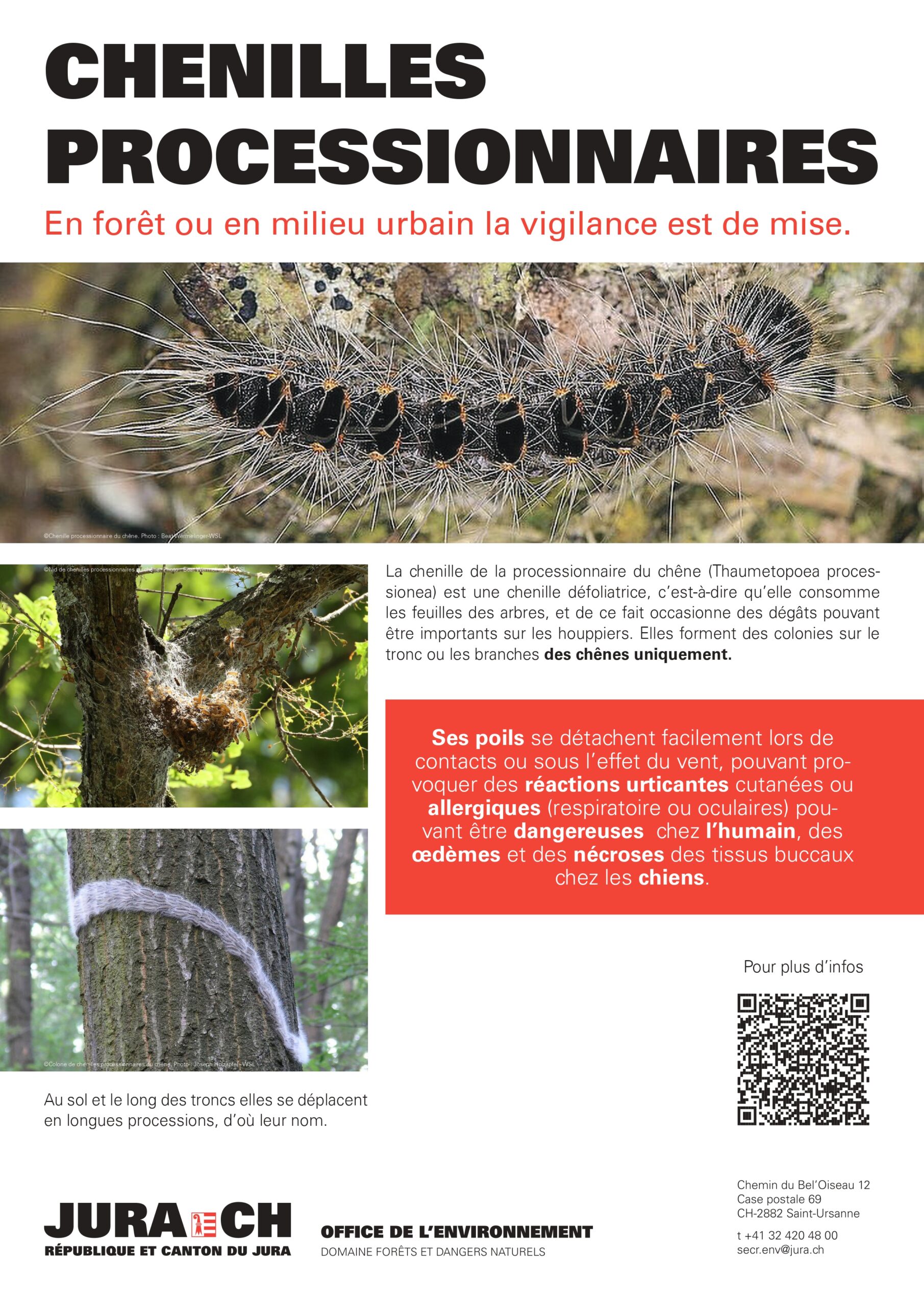 260505_Affiche_Processionnaire_Chene_page-0001